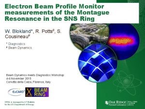 Electron Beam Profile Monitor measurements of the Montague