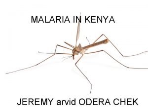MALARIA IN KENYA JEREMY arvid ODERA CHEK KENYA
