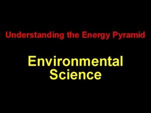 Understanding the Energy Pyramid Environmental Science Biology Energy