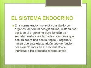 EL SISTEMA ENDOCRINO El sistema endocrino est constituido