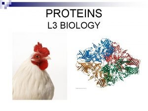 PROTEINS L 3 BIOLOGY FACTS ABOUT PROTEINS n