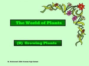 The World of Plants B Growing Plants W