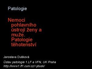 Nuliparita