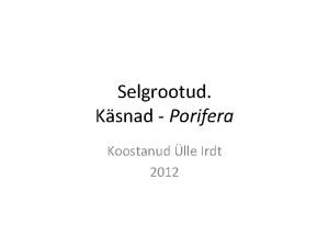 Selgrootud Ksnad Porifera Koostanud lle Irdt 2012 Selgrootute