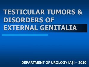 TESTICULAR TUMORS DISORDERS OF EXTERNAL GENITALIA DEPARTMENT OF