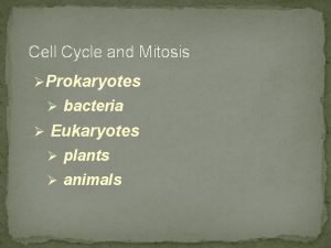 Cell Cycle and Mitosis Prokaryotes bacteria Eukaryotes plants