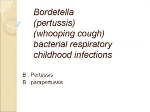 Bordetella pertussis whooping cough bacterial respiratory childhood infections