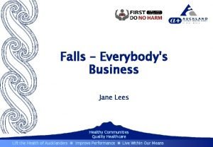 Falls Everybodys Business Jane Lees Healthy Communities Quality