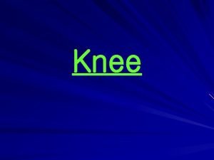 Muscle around knee Muscle around knee