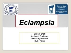 Eclampsia Sonam Bhatt Assistant Professor Veterinary Medicine BVC