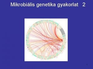 Mikrobilis genetika gyakorlat 2 1 Az els gyakorlaton