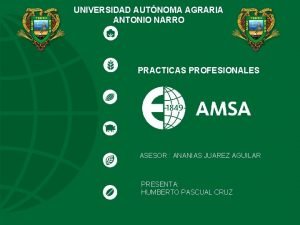 UNIVERSIDAD AUTNOMA AGRARIA ANTONIO NARRO PRACTICAS PROFESIONALES ASESOR