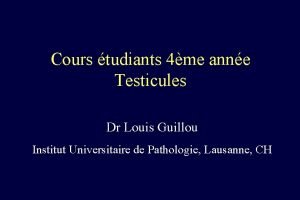 Cours tudiants 4me anne Testicules Dr Louis Guillou