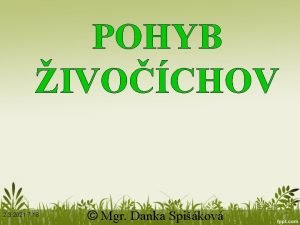 POHYB IVOCHOV 2 3 2021 7 18 Mgr