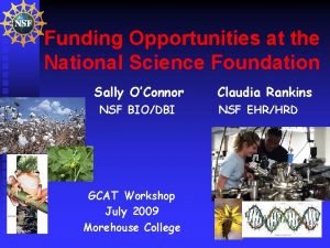Funding Opportunities at the National Science Foundation Sally