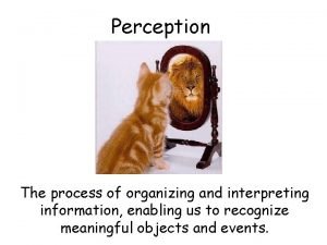 Perception The process of organizing and interpreting information
