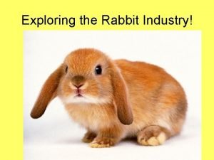 Exploring the Rabbit Industry Next Generation ScienceCommon Core