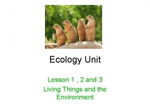 Lesson 1: introduction to ecology answer key