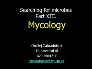 Searching for microbes Part XIII Mycology Ondej Zahradnek