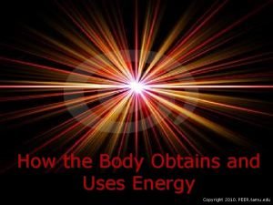 The human body obtains energy through