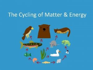 The Cycling of Matter Energy Ecosystems Community of