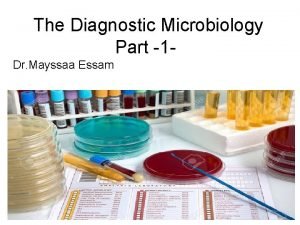 The Diagnostic Microbiology Part 1 Dr Mayssaa Essam