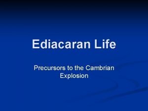 Ediacaran Life Precursors to the Cambrian Explosion Period