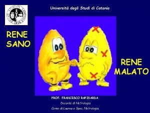 Universit degli Studi di Catania RENE SANO RENE