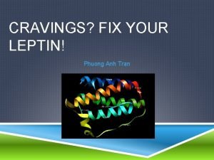 CRAVINGS FIX YOUR LEPTIN Phuong Anh Tran Adipose