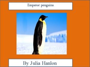 Penguins description