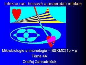 Infekce ran hnisav a anaerobn infekce Mikrobiologie a