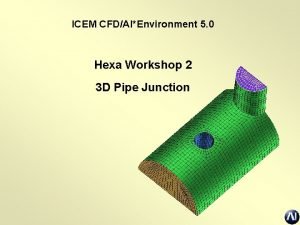 ICEM CFDAIEnvironment 5 0 Hexa Workshop 2 3