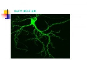 Ltp expression