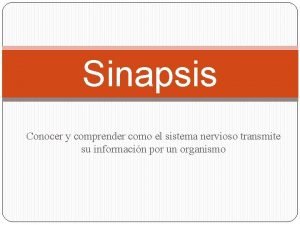 Sinapsis Conocer y comprender como el sistema nervioso