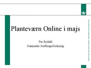 Plantevrn Online i majs Per Rydahl Danmarks Jordbrugsforskning