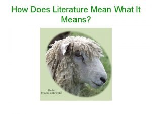 How Does Literature Mean What It Means Mary