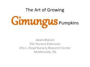 The Art of Growing Gimungus Pumpkins Adam Blalock