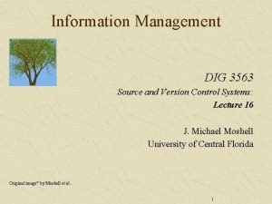 Information Management DIG 3563 Source and Version Control
