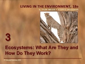 Living in the environment 18th edition