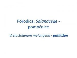 Porodica Solanaceae pomonice Vrsta Solanum melongena patlidan Patlidan