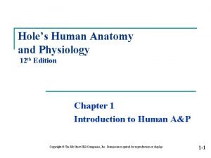 Holes Human Anatomy and Physiology 12 th Edition