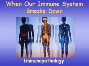 When Our Immune System Breaks Down Immunopathology Our