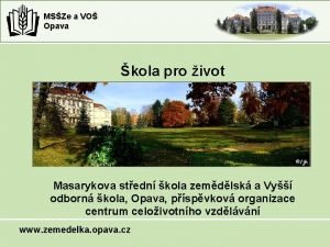 Msšze a voš opava