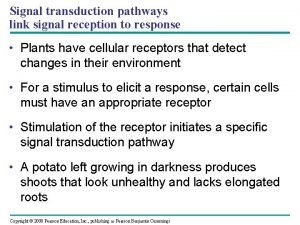 Reception transduction response