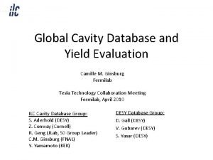 Global Cavity Database and Yield Evaluation Camille M