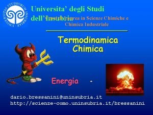 Universita degli Studi Corsi di Laurea in Scienze