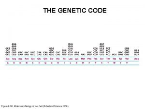 Genetic code