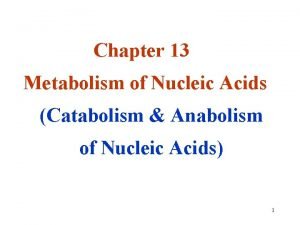 Chapter 13 Metabolism of Nucleic Acids Catabolism Anabolism