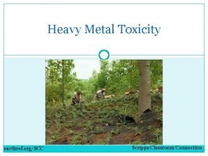Heavy Metal Toxicity earthref orgSCC Scripps Classroom Connection