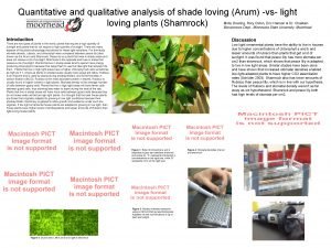 Quantitative and qualitative analysis of shade loving Arum